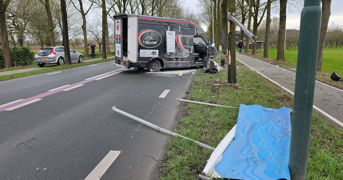 Bestelbus ramt bomen langs N225 in Rhenen