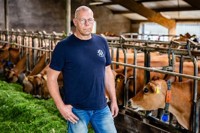 Farmers feel cornered by new cow standards: 'Nearly impossible task'
