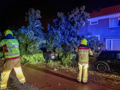 Boom valt op woning aan Scheurweideweg in Zutphen