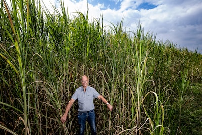 Image related to the article