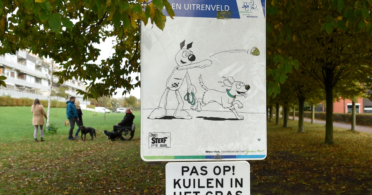Roep om duidelijkheid over hondenuitrenveld in wijk in Woerden