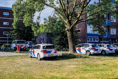 Image related to the article