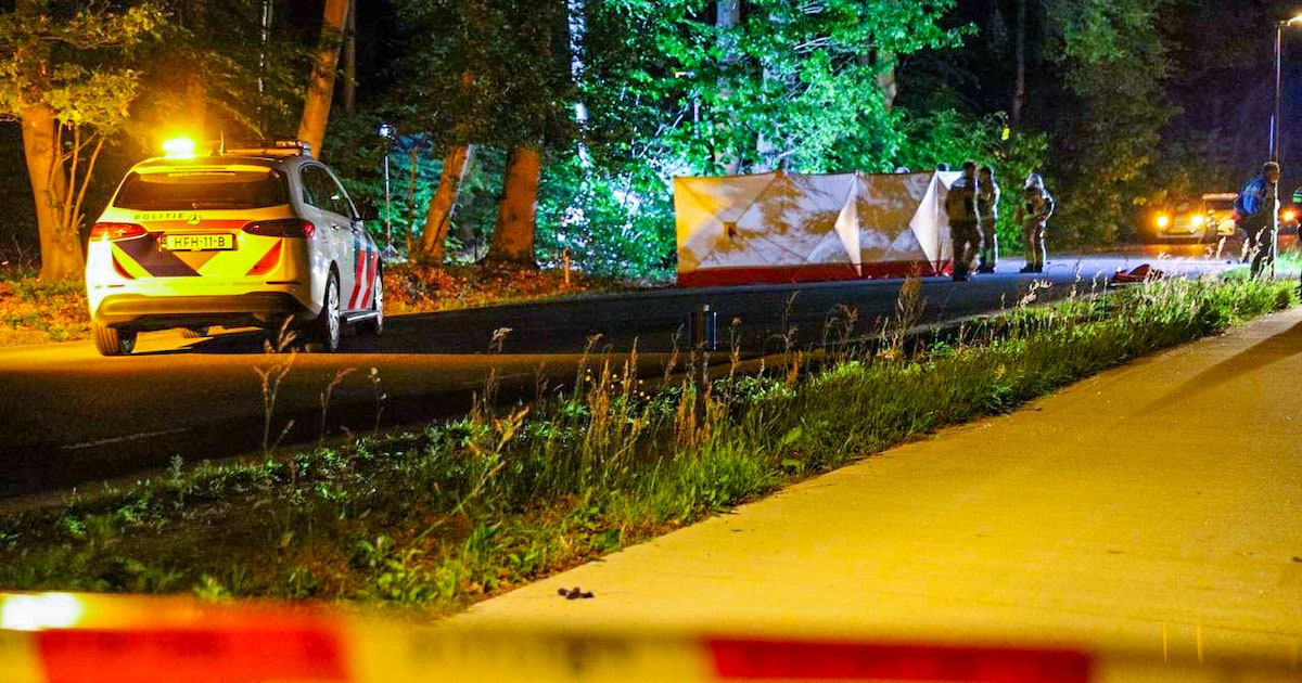 Twee doden bij frontale botsing in Eerbeek: ‘Ik zag meteen dat het foute boel was’