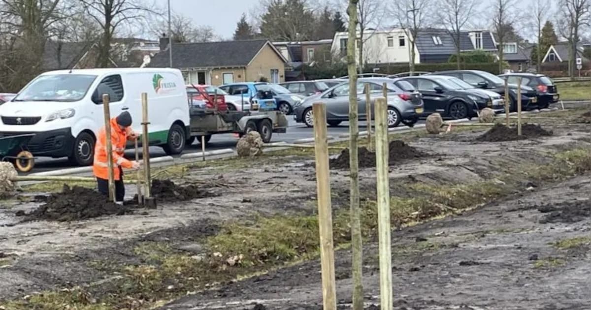 Struiken, platanen en extra parkeerplekken bij Verlengde Veldschans in Heerenveen