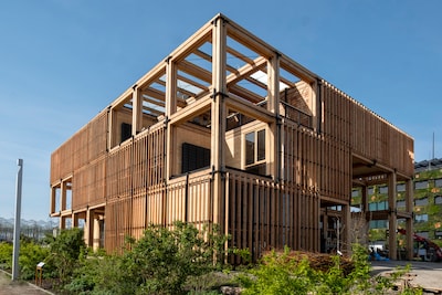 Image related to the article