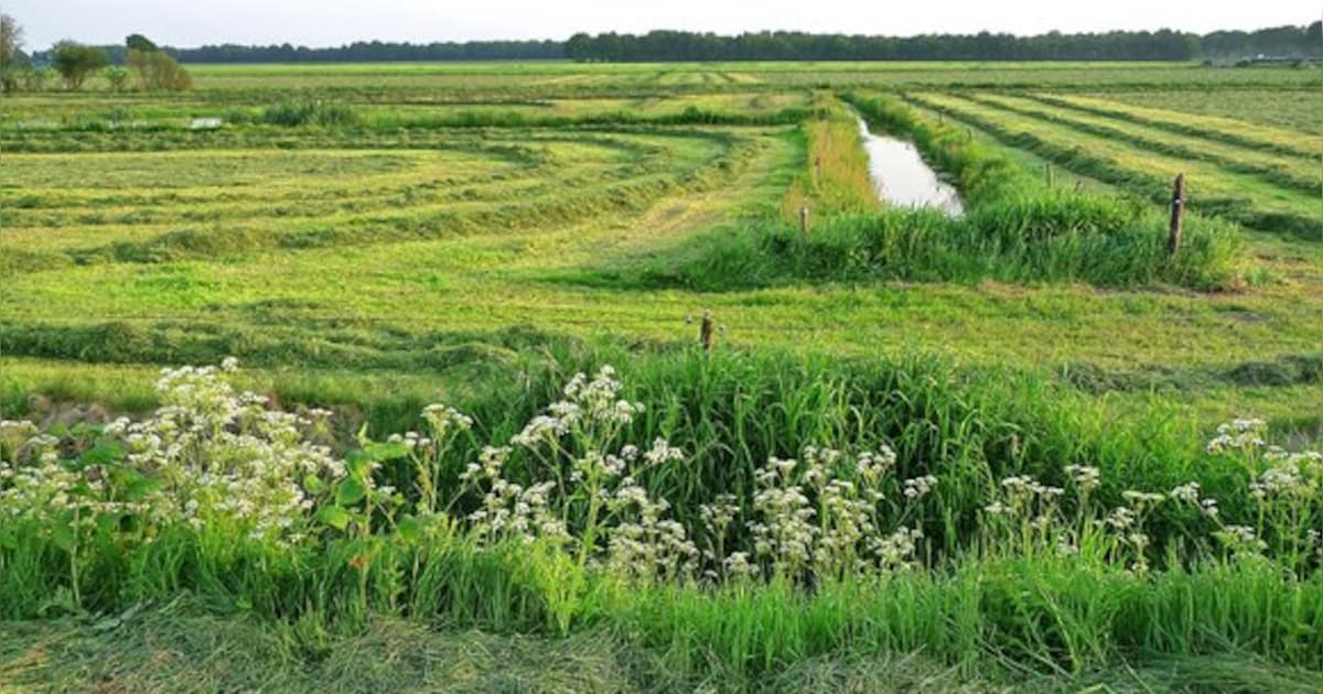 Inloopbijeenkomst over uitbreiding oefenterrein De Haar in Hooghalen
