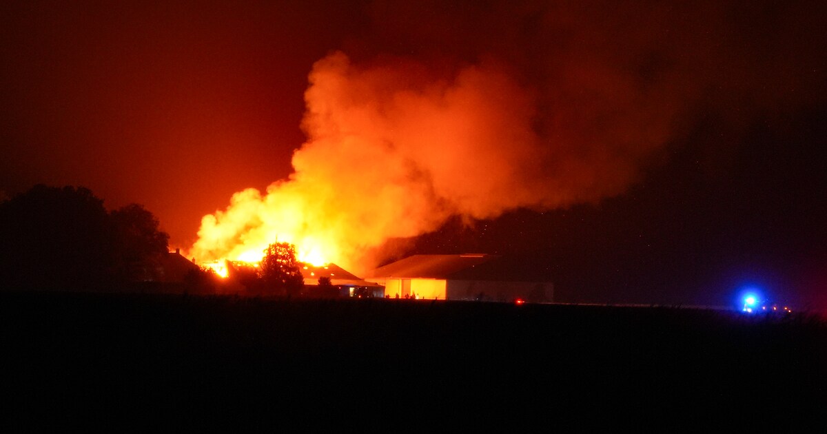 Brand verwoest woning en schuur in Middelstum, paarden op tijd in veiligheid gebracht