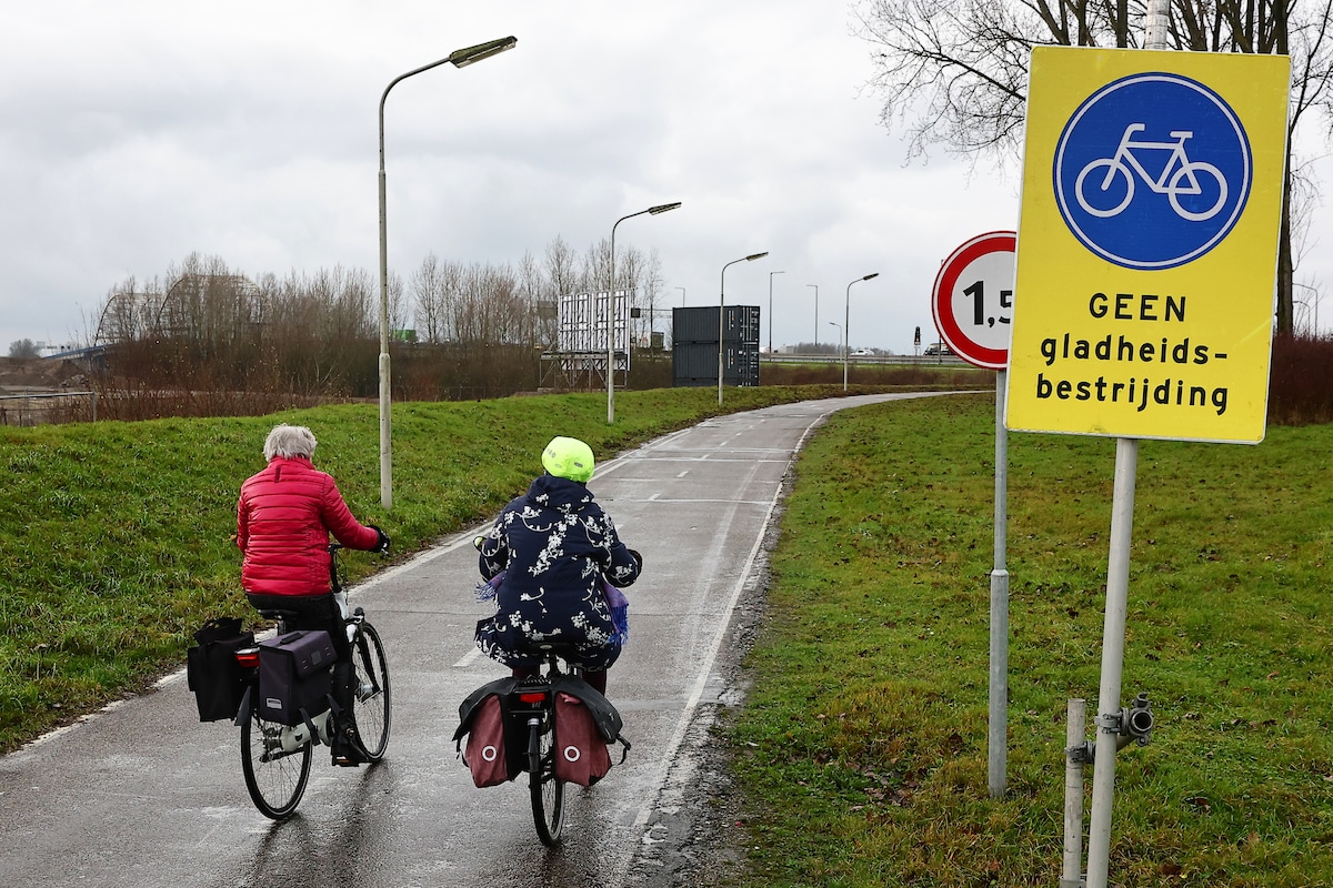 Fietsers rijden richting de Merwedebrug (links achter de bomen). 