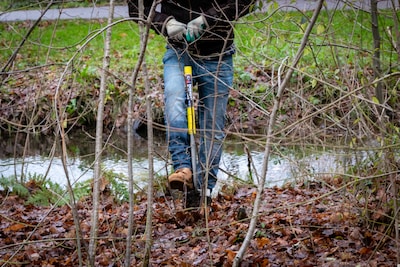 Meer Bomen Nu start verplantseizoen: in drie jaar al 300.000 bomen gered