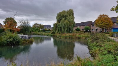 Blauwalg en droogte in Didam: waterschap investeert 1,5 miljoen euro in verbeteringen