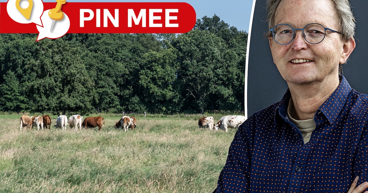 Droge weilanden en kans op natuurbranden: Waar in Nijkerk is het kurkdroog?