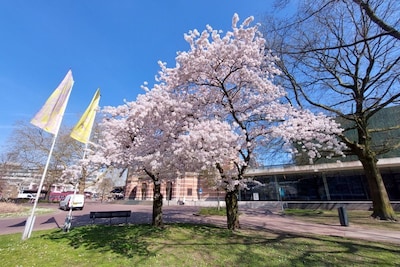 Plannen maken! Dit ga je doen in Arnhem in april
