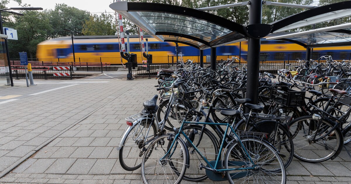 Gezocht: weeshuis voor fietsen van stations Brummen en Voorst-Empe