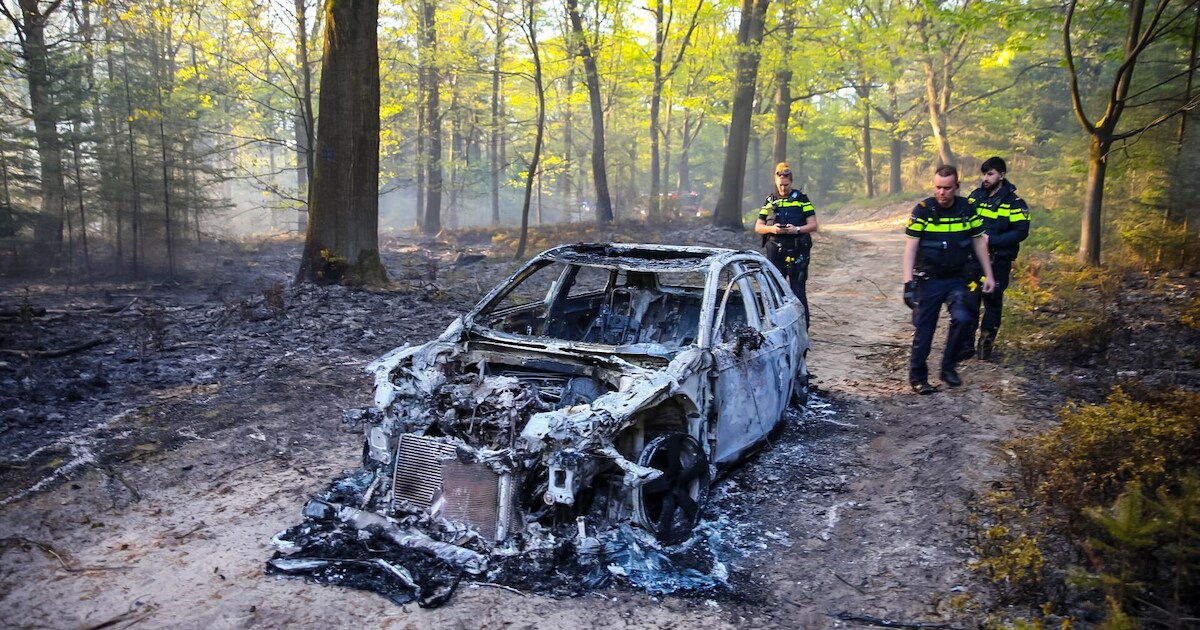 Bosbrand door gedumpte brandende auto in Beekbergen | Regio | AD.nl