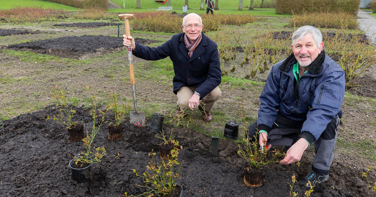Vrijwilligers in Zoetermeer in het zonnetje gezet met jubileumfeest