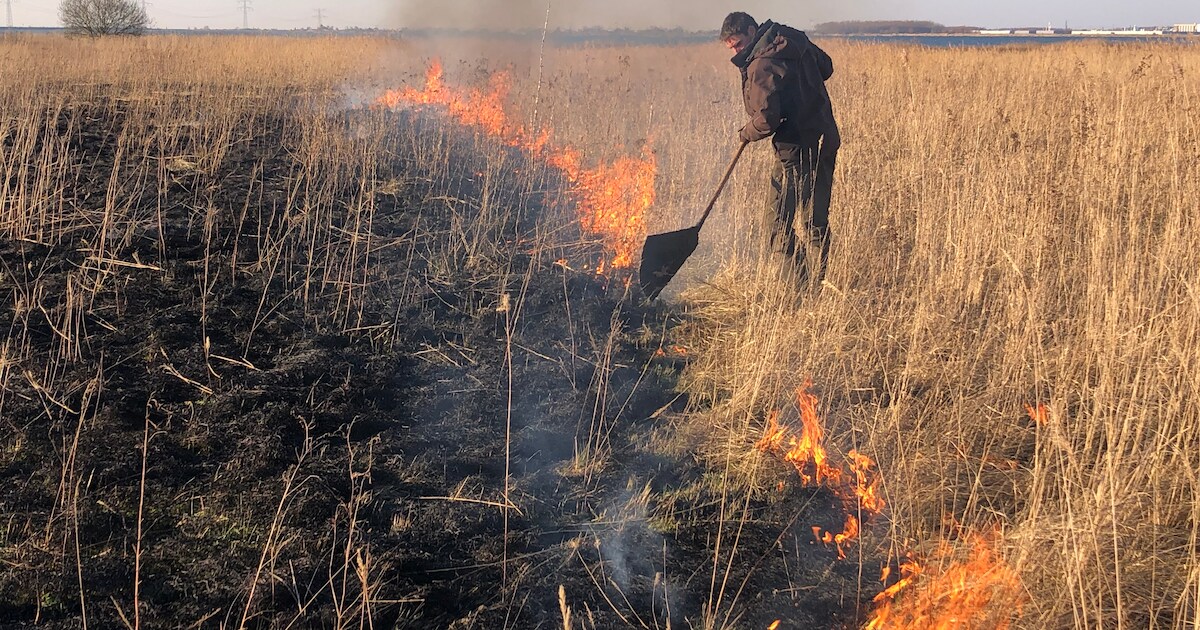 Dantumadiel stelt rook- en stookverbod in door natuurbrandrisico