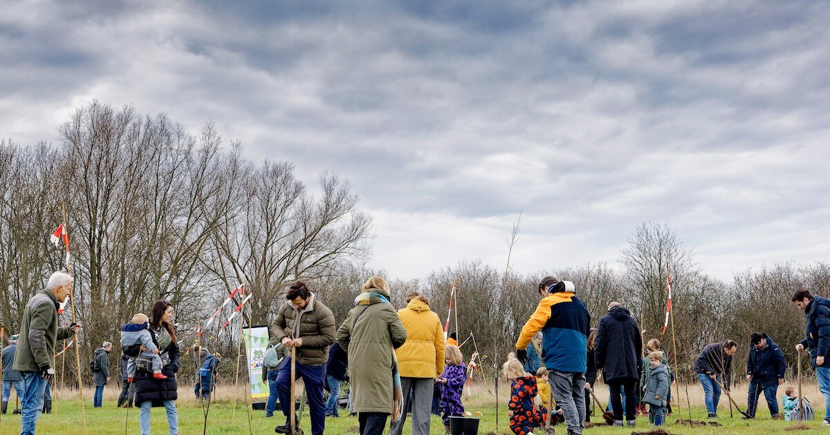 Kinderen en families planten samen eerste bomen in Kinderbos bij Nationaal Park De Meinweg.