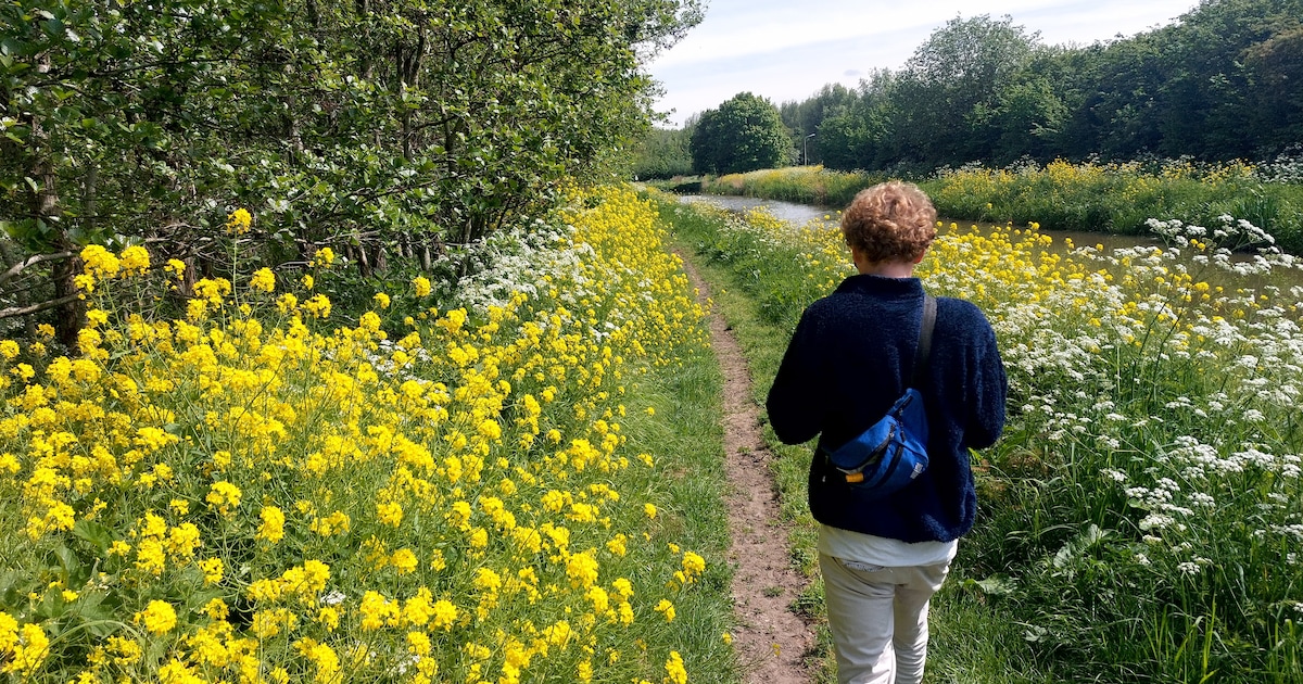 Geniet je ook zo van de bloemenweelde? Stuur je mooiste foto’s in