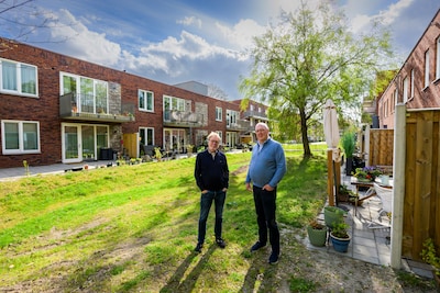 Image related to the article