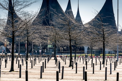 Efteling stopt met parkeerabonnement en gaat cadeaus geven aan gasten die duurzaam reizen: ‘Ronduit 
