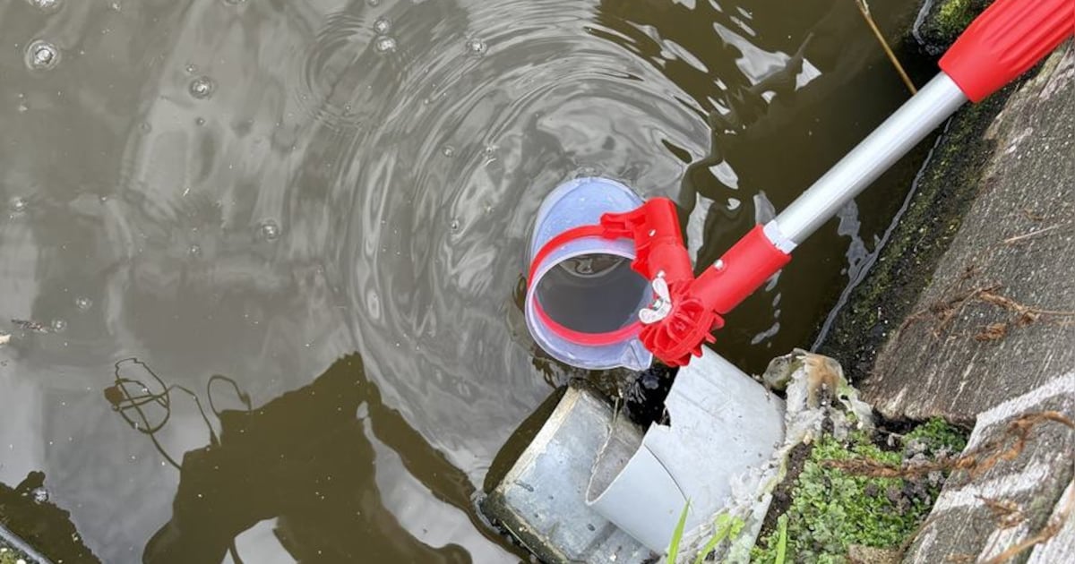 Rijnland vindt verhoogde nitraatwaarden bij glastuinbouwgebied in Rijnsburg
