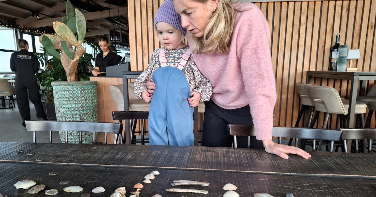 Laatste zoektocht naar schelpen en krabben op Groene Strand in Monster