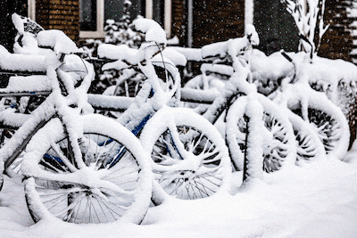 Image related to the article