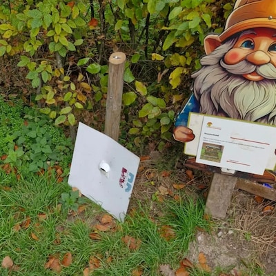 Wéér kabouters vernield in het Ommerense bos: ‘Waarom nou toch?’