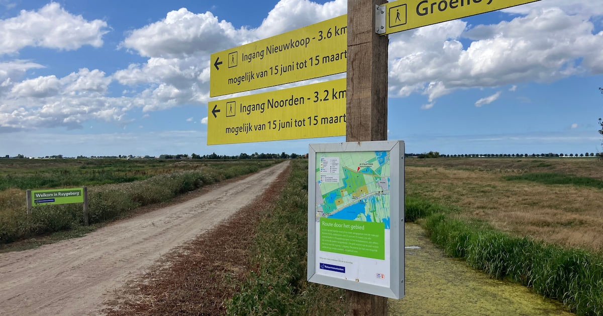 Wandelaars welkom op nieuwe moerasroutes in Nieuwkoop: nu open na broedpauze