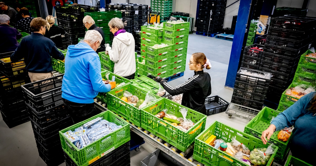 Voedselbank Dantumadiel krijgt unanieme steun van gemeenteraad