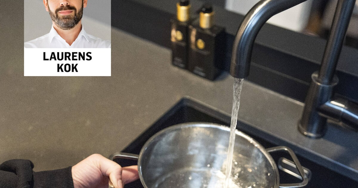 Flessenwaterdoseerpompsysteem, Flessenwaterpomp met enkele buis/dubbele buis, Zelfaanzuigende waterpomp van voedingskwaliteit voor thuis, keuken, kantoor, bar, koffiebrouwer, ijsmaker (enkel