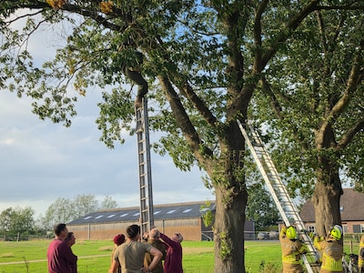 Wederom belandt parachutist in boom in de buurt van Renkum