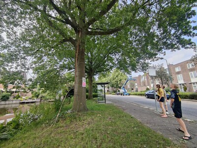 Enorme knal, nieuwe winkel en meer nieuwtjes uit Woerden