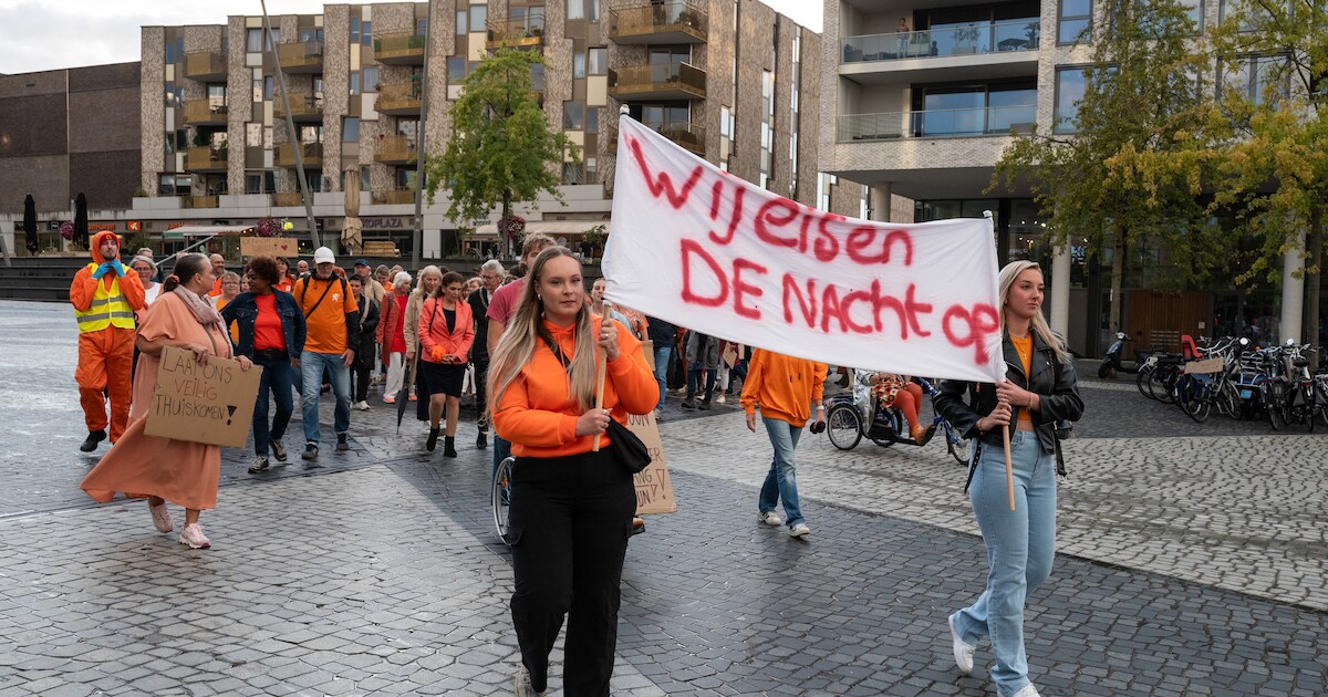 Barneveld krijgt campagne tegen vrouwenmoord, maar dat is voor raad niet genoeg: ‘Meer doen aan veil