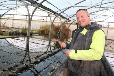 Waterplantenkweker Piet houdt pleidooi: ‘Zet zuurstofplanten in bij watercrisis’