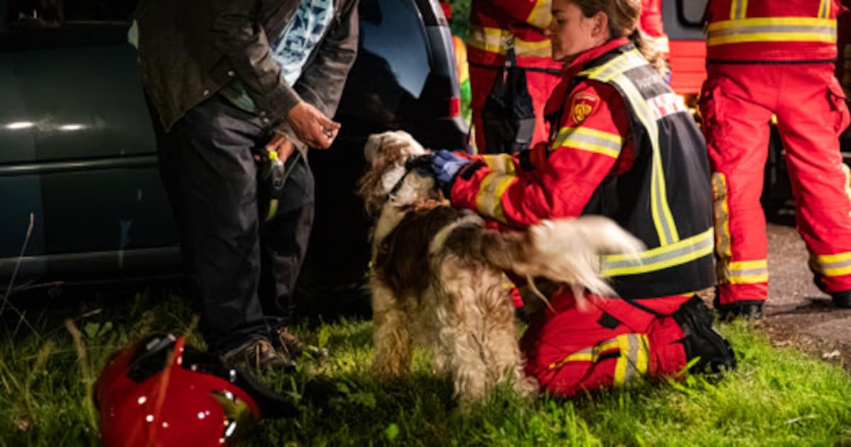 Hond bevrijd uit auto in Midwolda