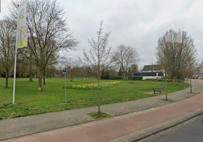 Image related to the article