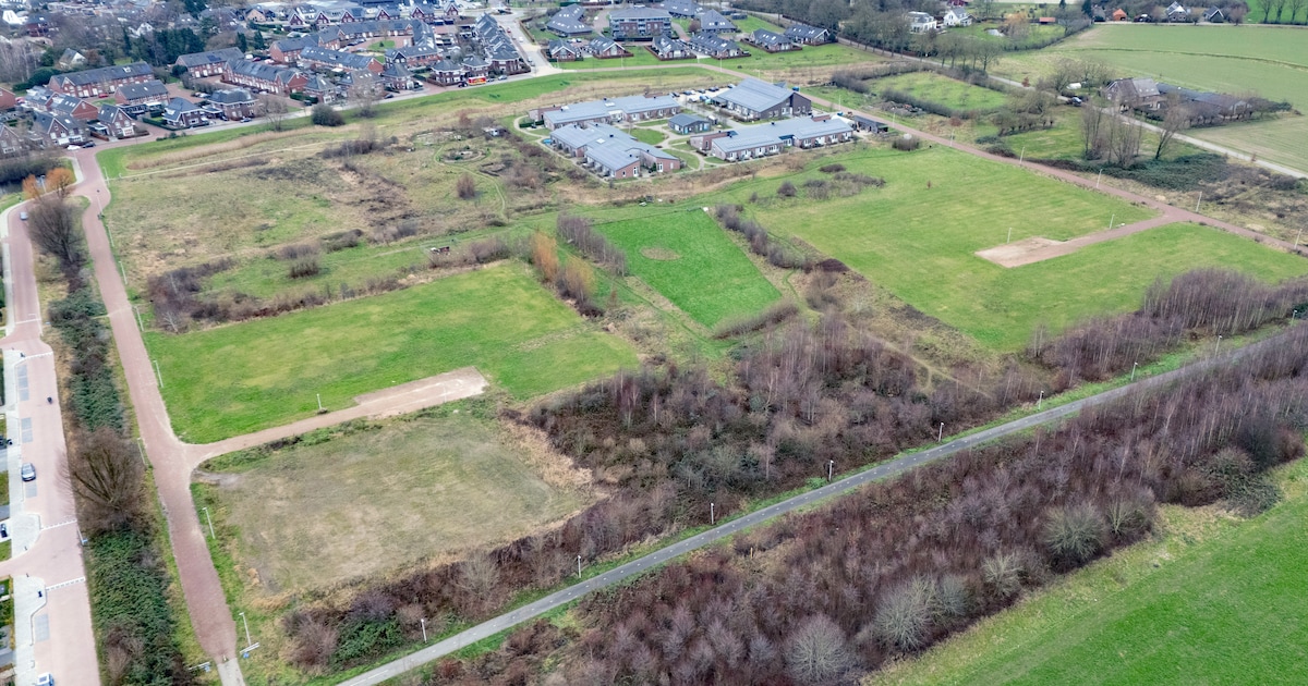 Bedreigd voedselbos in Brummen krijgt extra bescherming in nieuwe wijk: ‘Dat geeft ons goede hoop’