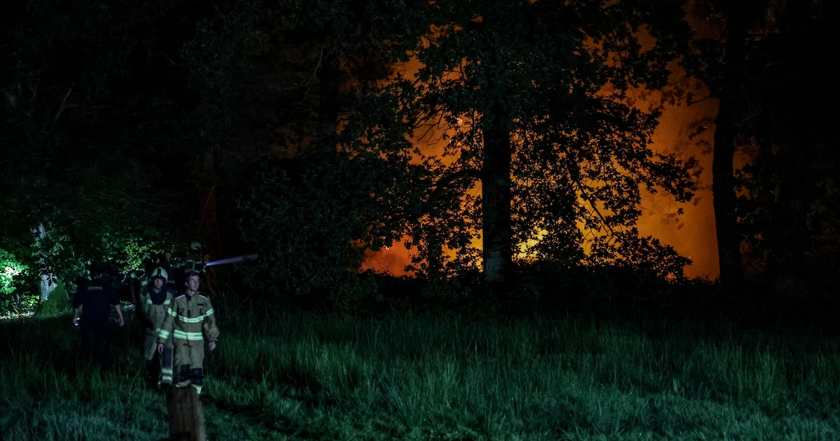Uitslaande brand in gebouw aan de hoofdweg in Paterswolde