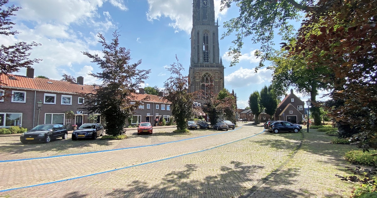 Rhenen wil nieuw parkeerbeleid: meer op eigen terrein en dat is ook goed voor de woningbouw