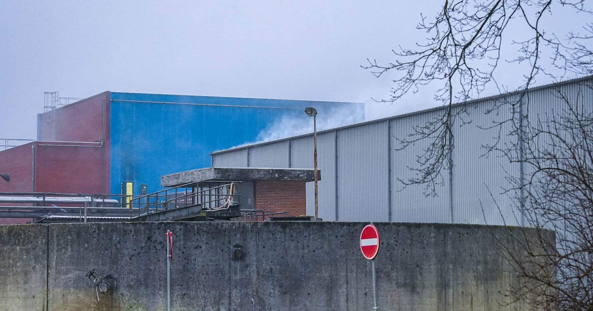 Veel rook bij brand in papierloods in Oude Pekela