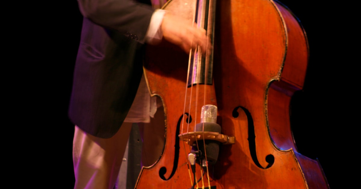 Jazzconcert op historische boerderij in Polsbroekerdam