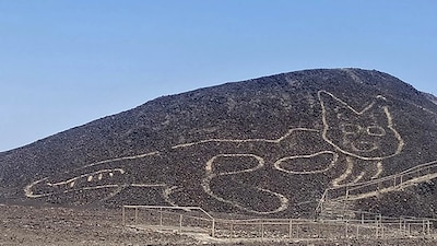 Vliegtuig met elf Europese toeristen en twee piloten gecrasht bij vlucht naar Nazcalijnen in Peru
