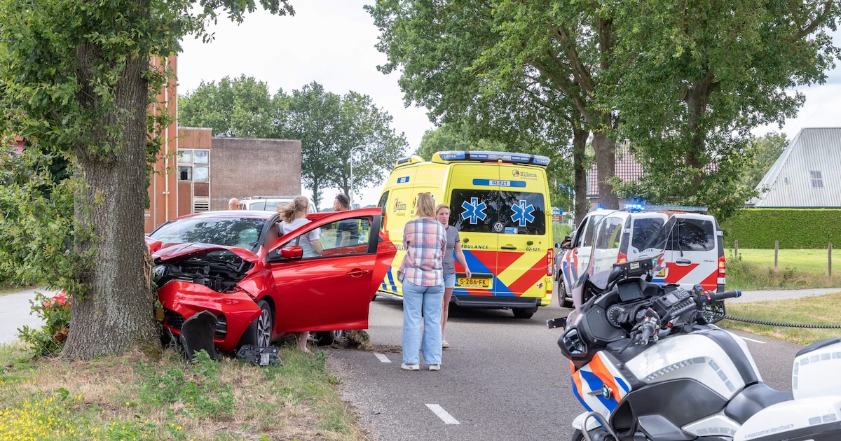 Automobilist gewond na botsing tegen boom in Elsloo
