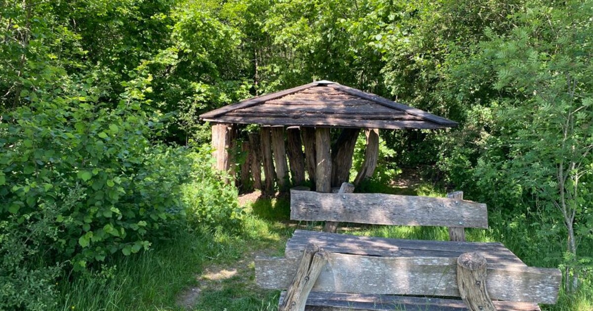 Man (35) bekent aanranden van twee meisjes in schuilhutten bij de Kempen