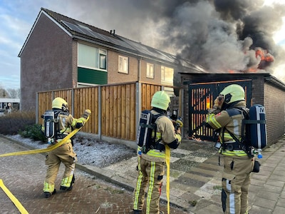 Image related to the article