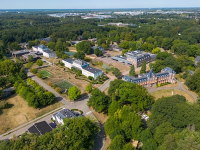 Image related to the article