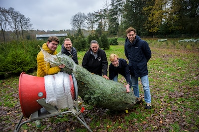 Image related to the article