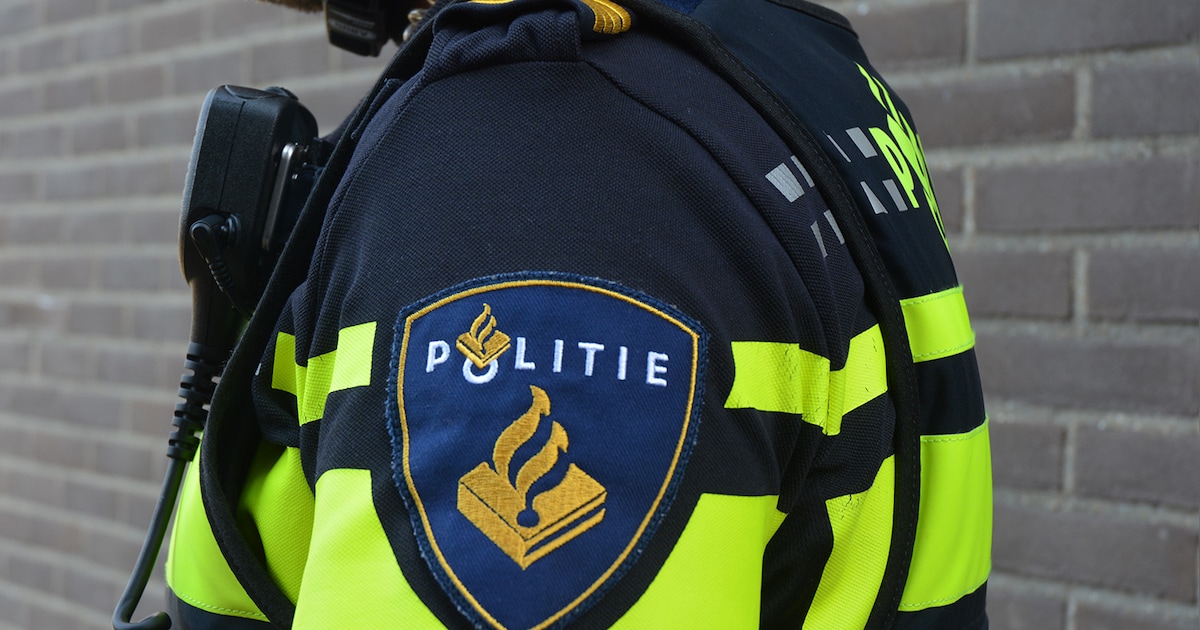 Controle door Dommelstroom Interventie Team in Heeze-Leende