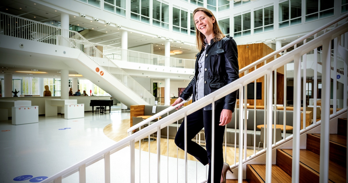 Zo wil Rotterdam alle woningen van het aardgas af krijgen: ‘Dit is een ...